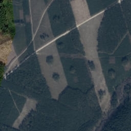 Satelita