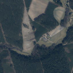 Satelita