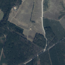Satelita