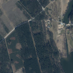 Satelita