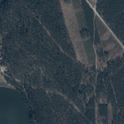 Satelita