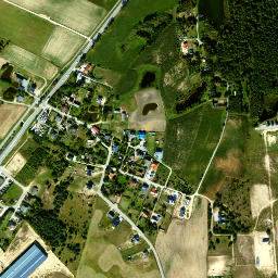 Satelita