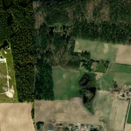 Satelita