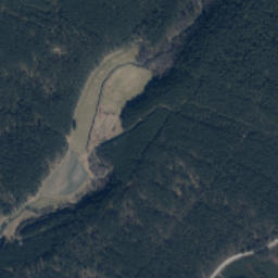 Satelita