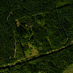 Satelita