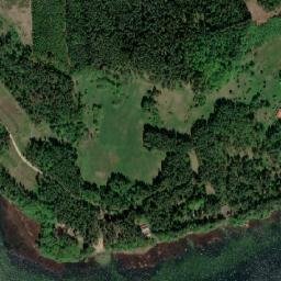 Satelita
