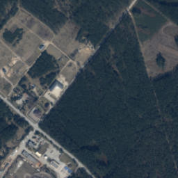 Satelita