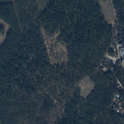 Satelita