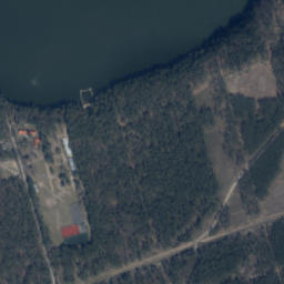 Satelita