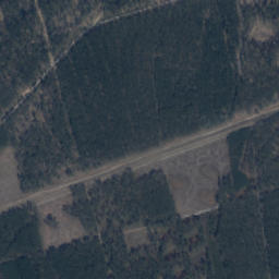 Satelita