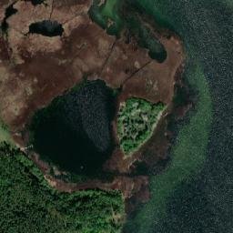 Satelita