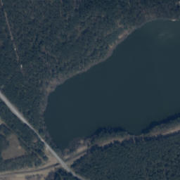 Satelita