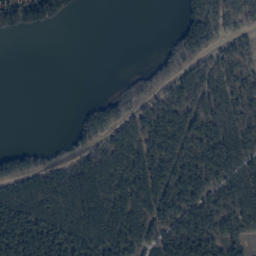 Satelita