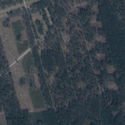 Satelita