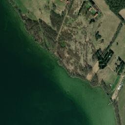 Satelita