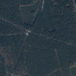Satelita