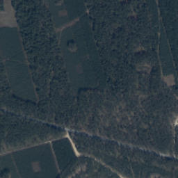Satelita