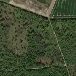 Satellite view of Hanseatischer Golfclub Greifswald e.V.