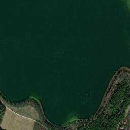 Satelita
