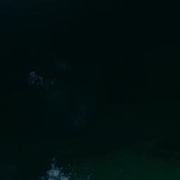 Satelita