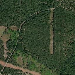 Satelita