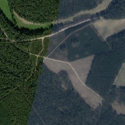 Satelita