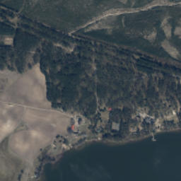 Satelita