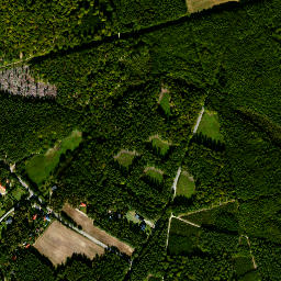Satelita