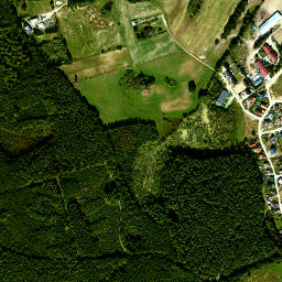 Satelita