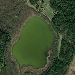 Satelita