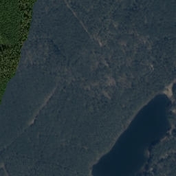 Satelita