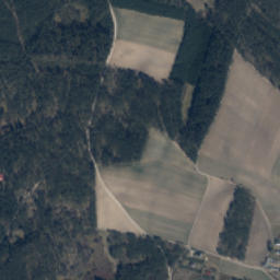 Satelita