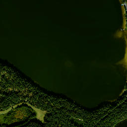 Satelita