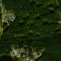 Satelita