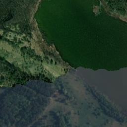 Satelita