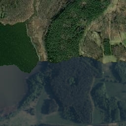 Satelita