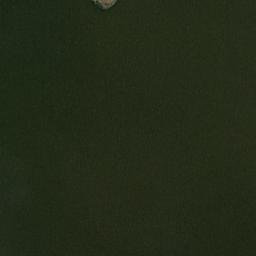 Satelita