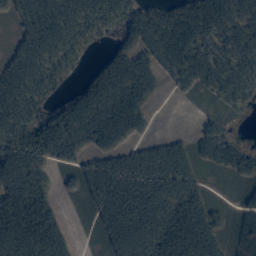 Satelita