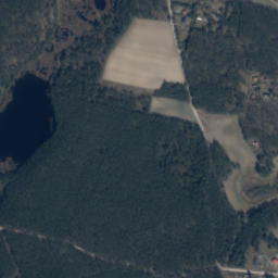 Satelita