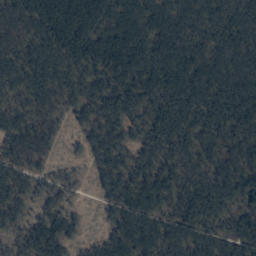 Satelita