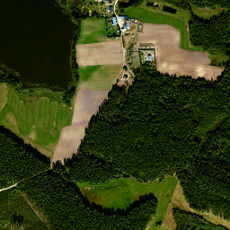 Satelita