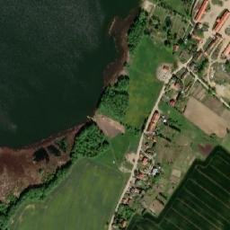 Satelita