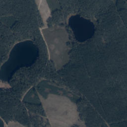 Satelita
