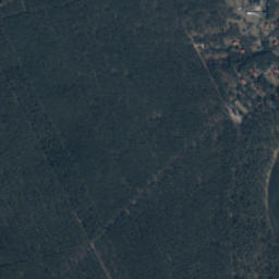 Satelita
