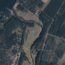 Satelita