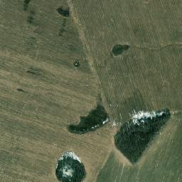 Drybinski Rayon map(satellite map)