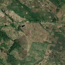 Satelita