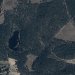 Satelita