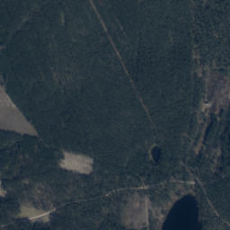 Satelita