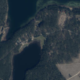 Satelita